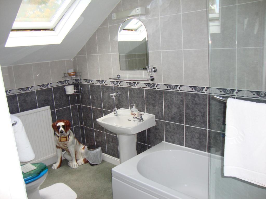 Sherwood Hotel - B&B Harrogate Exteriér fotografie